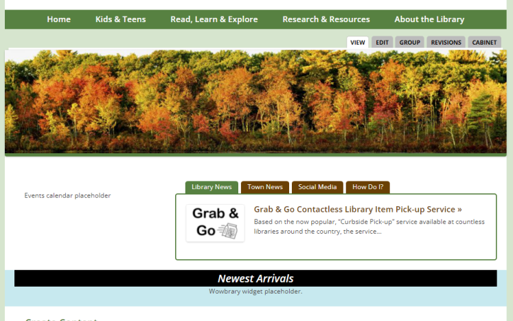 library website